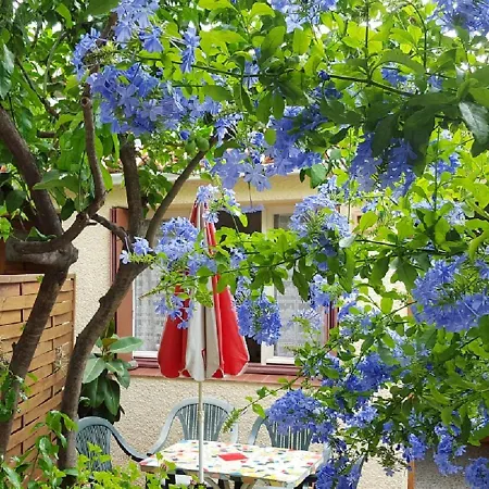 Cosy A Sur Avec Terrasse Et Vue Jardin 32 M²