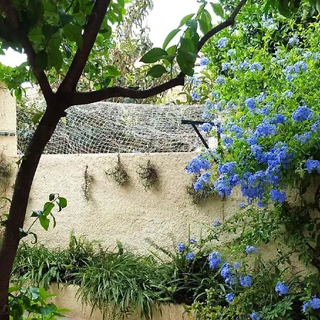 Cosy A Sur Avec Terrasse Et Vue Jardin 32 M² Apartament