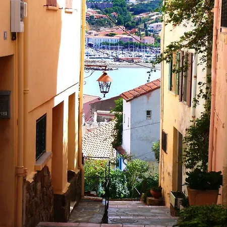 Apartament Cosy A Sur Avec Terrasse Et Vue Jardin 32 M² Banyuls-sur-Mer