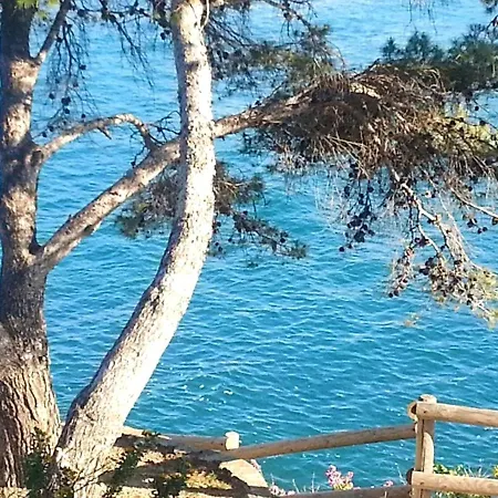 A Sur A 300 M De La Avec Terrasse Amenagee Et Wifi Appartement *